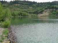 Březina u Jevíčka