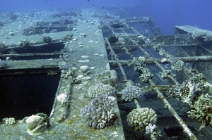 setkání Wreck Egypt2010